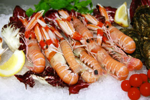 crudi di pesce